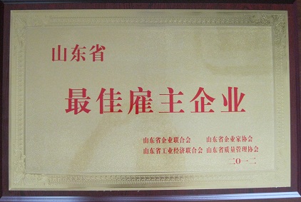 The Best Employer Enterprise in Shandong Province